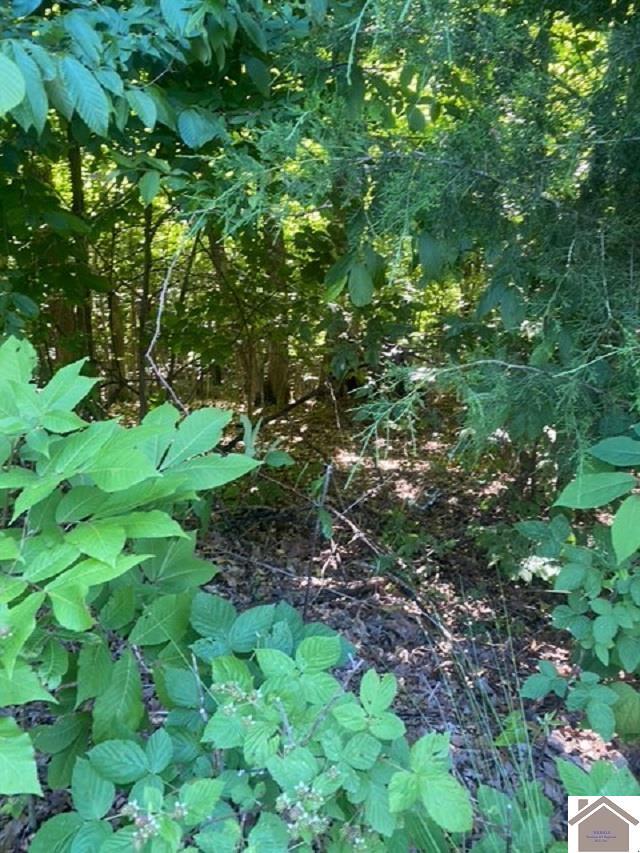 0000 Driftwood Ests, Lot Eddyville, KY 42038