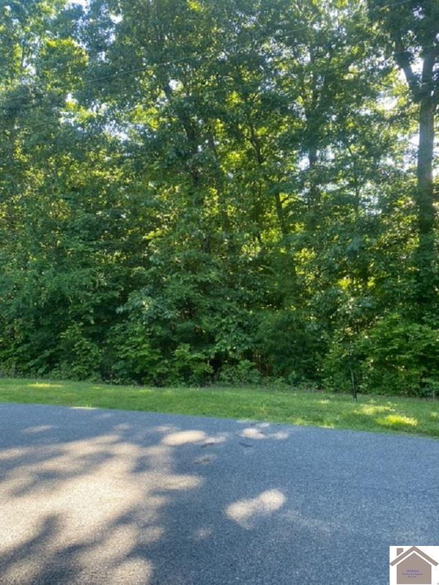 0000 Driftwood Ests, Lot Eddyville, KY 42038