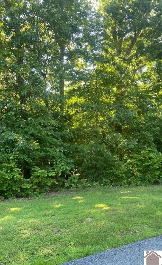 0000 Driftwood Ests, Lot Eddyville, KY 42038