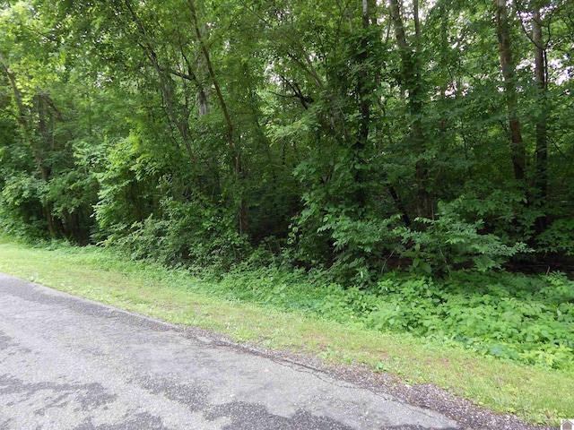 00 Tatumsville Hwy, Benton, KY 42025