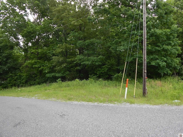 00 Tatumsville Hwy, Benton, KY 42025
