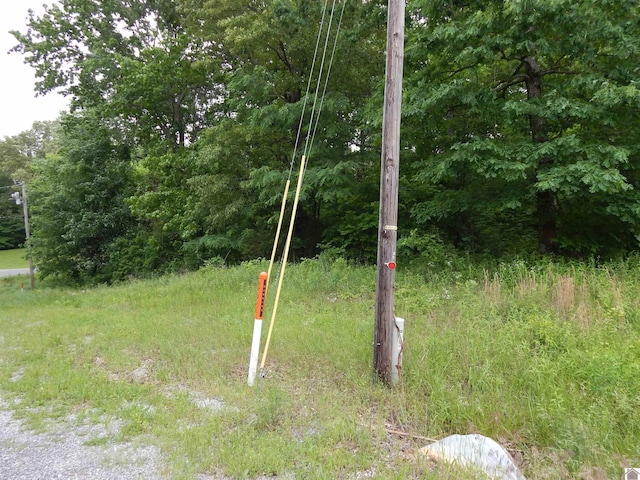 00 Tatumsville Hwy, Benton, KY 42025