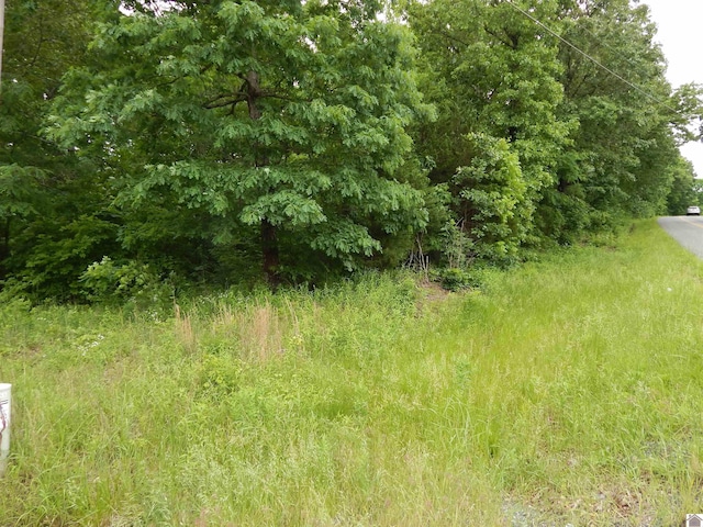 00 Tatumsville Hwy, Benton, KY 42025