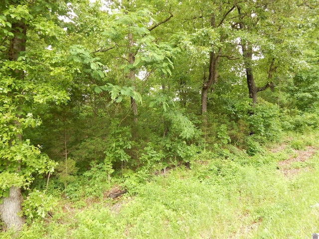 00 Tatumsville Hwy, Benton, KY 42025