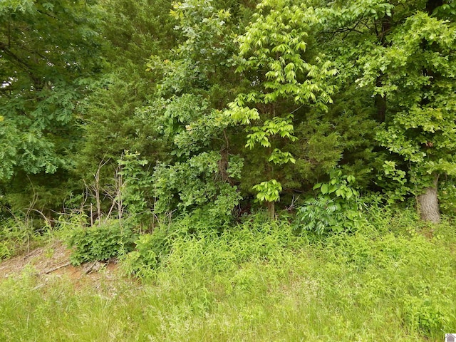 00 Tatumsville Hwy, Benton, KY 42025
