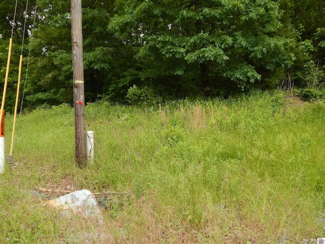00 Tatumsville Hwy, Benton, KY 42025