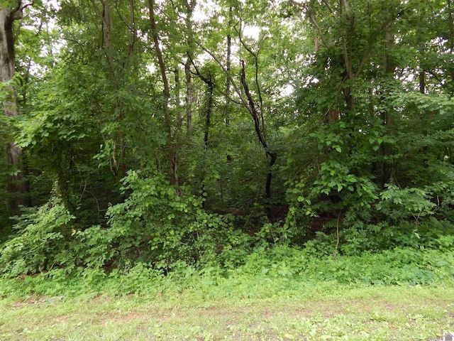 00 Tatumsville Hwy, Benton, KY 42025