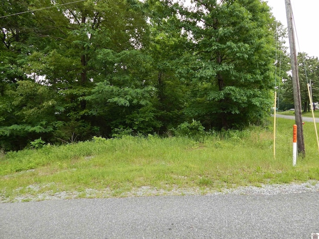 00 Tatumsville Hwy, Benton, KY 42025