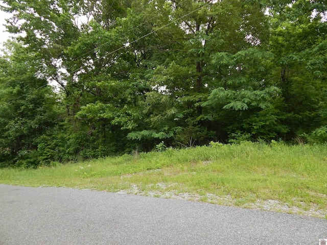 00 Tatumsville Hwy, Benton, KY 42025
