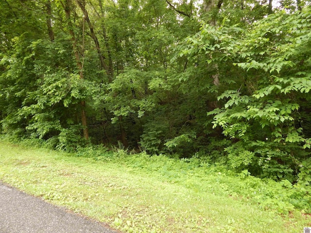 00 Tatumsville Hwy, Benton, KY 42025