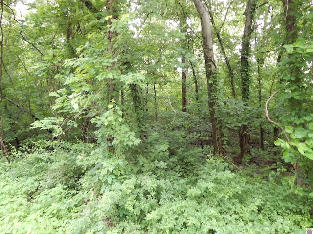 00 Tatumsville Hwy, Benton, KY 42025