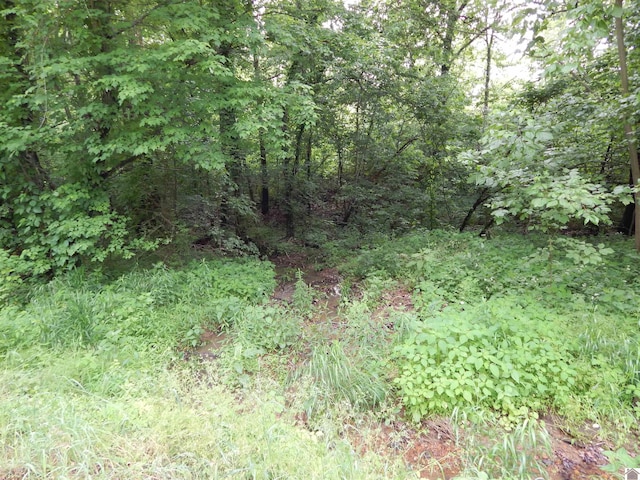 00 Tatumsville Hwy, Benton, KY 42025