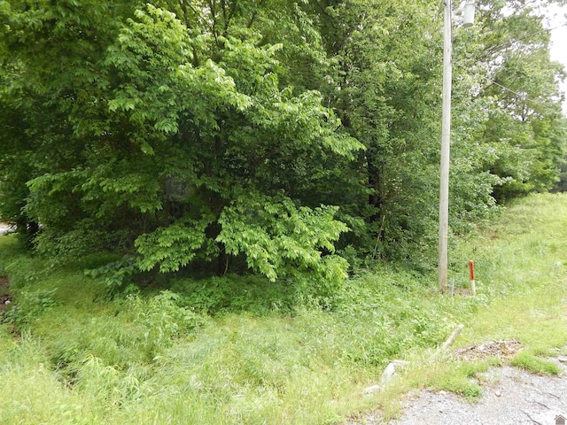 00 Tatumsville Hwy, Benton, KY 42025