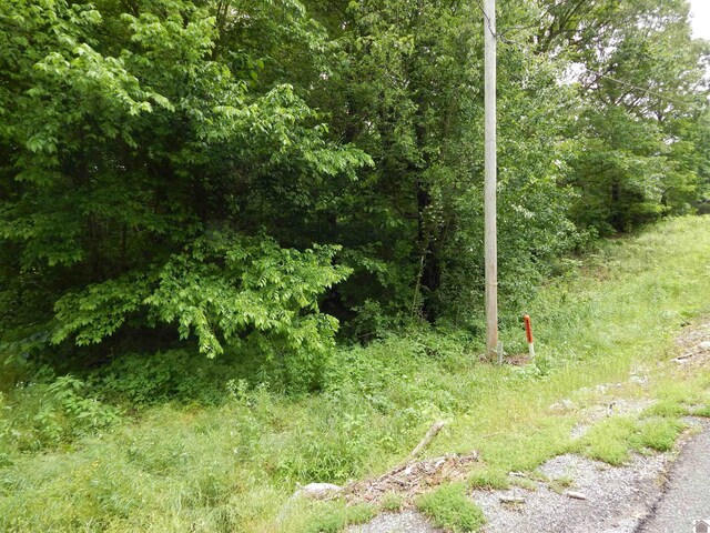 00 Tatumsville Hwy, Benton, KY 42025