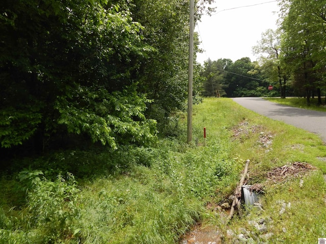 00 Tatumsville Hwy, Benton, KY 42025