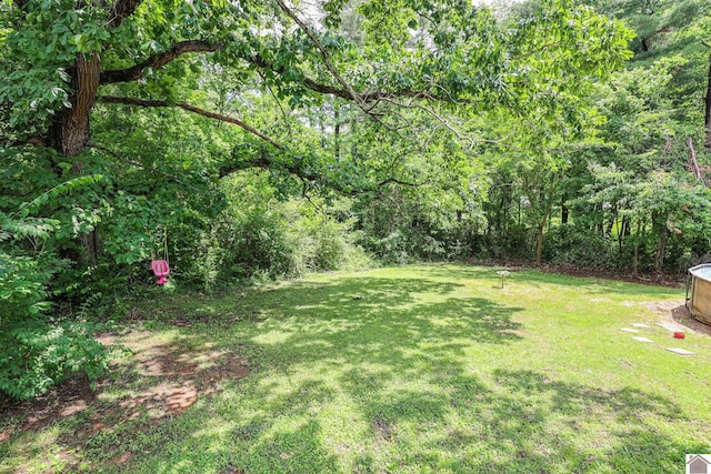 1124 Friedman Ln, Paducah, KY 42001 - view of grassy yard