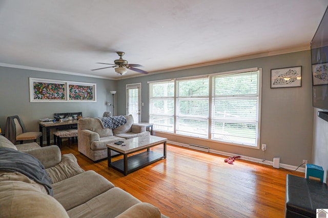 1124 Friedman Ln, Paducah, KY 42001 - living room with ornamental molding, wood finished floors, ceiling fan, and baseboards