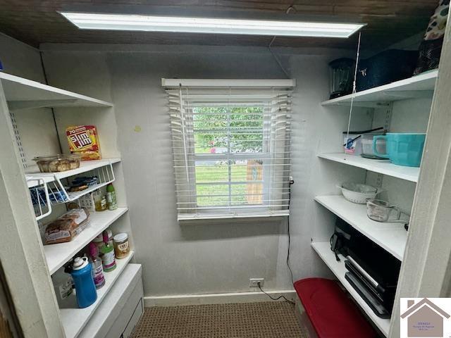 3944 Old Mayfield Rd, Paducah, KY 42003 - view of storage area