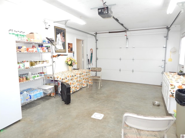 60 Cole Ln, Benton, KY 42025 - garage with a garage door opener