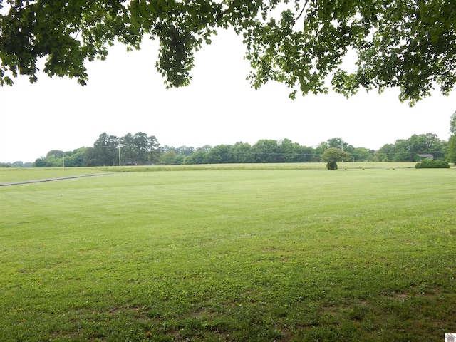 60 Cole Ln, Benton, KY 42025 - view of green lawn