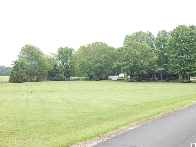 60 Cole Ln, Benton, KY 42025 - view of green lawn with view of wooded area