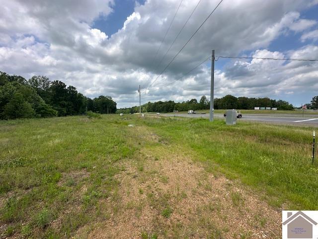 552 Toy York Rd, Benton, KY 42025
