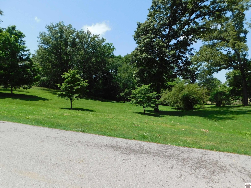 LOT6 Streetland Dr, Cadiz, KY 42211