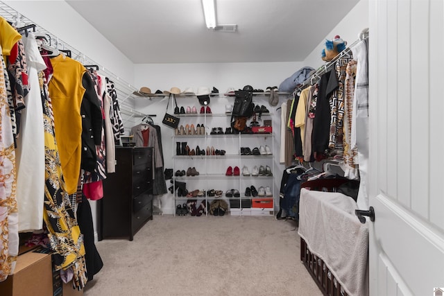 115 Pinewood Trl, West Paducah, KY 42086 - spacious closet with carpet flooring