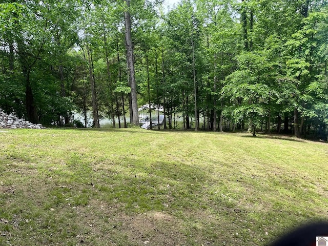 10 Chelsea Dr, Eddyville, KY 42038