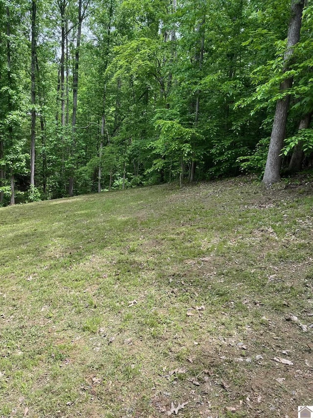 10 Chelsea Dr, Eddyville, KY 42038
