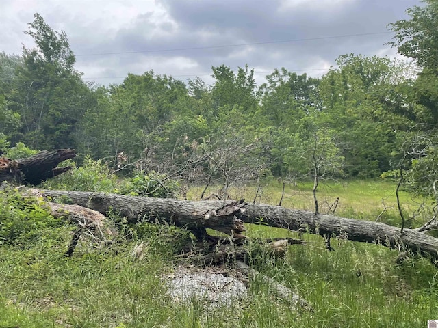 180 Chester Ln, Hickory, KY 42051
