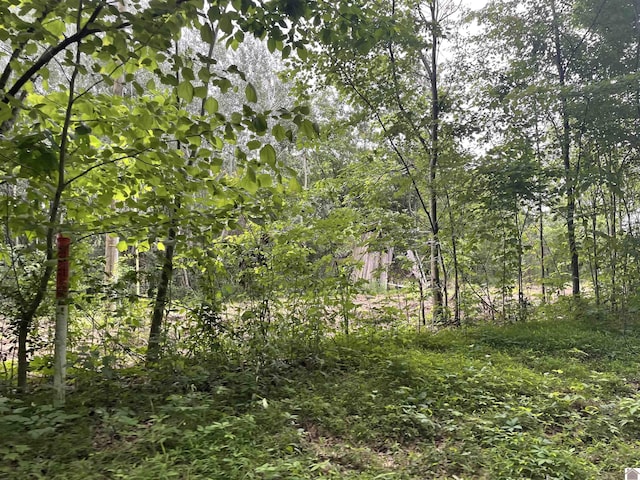 180 Chester Ln, Hickory, KY 42051