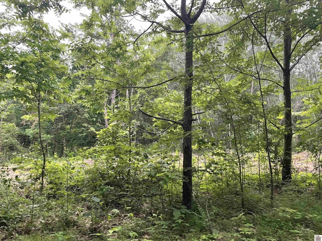 180 Chester Ln, Hickory, KY 42051