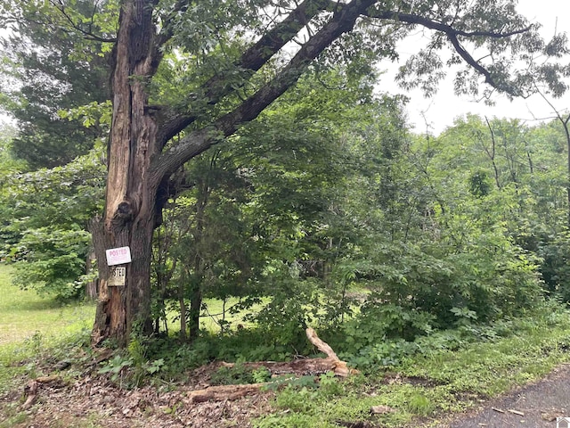 180 Chester Ln, Hickory, KY 42051