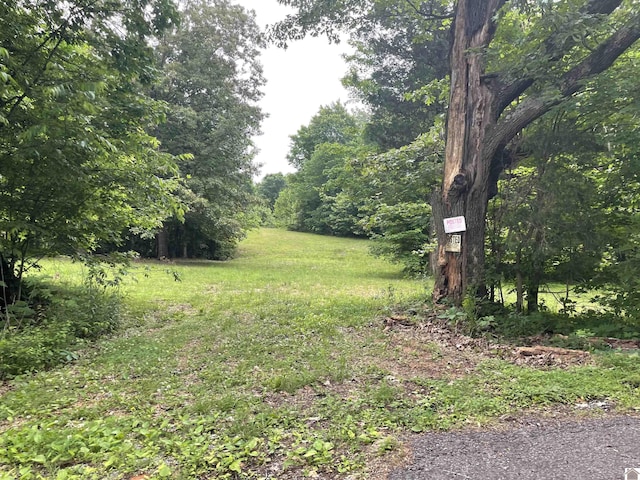 180 Chester Ln, Hickory, KY 42051