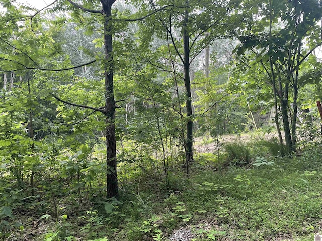 180 Chester Ln, Hickory, KY 42051