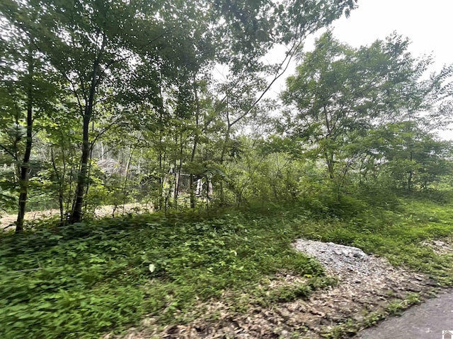 180 Chester Ln, Hickory, KY 42051