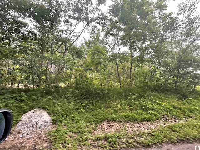180 Chester Ln, Hickory, KY 42051