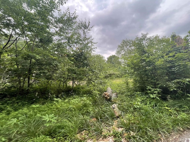 180 Chester Ln, Hickory, KY 42051