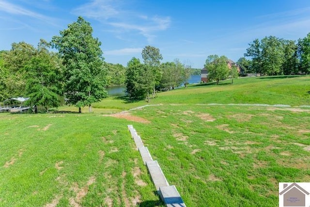 631 Imogene Dr, Gilbertsville, KY 42044 - view of home's community with a lawn