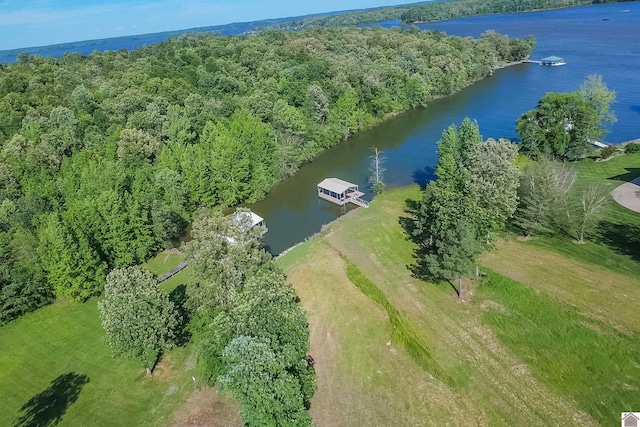 631 Imogene Dr, Gilbertsville, KY 42044 - aerial view of a large body of water