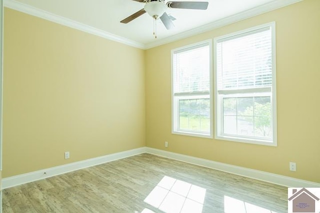 631 Imogene Dr, Gilbertsville, KY 42044 - unfurnished room featuring wood finished floors, ornamental molding, plenty of natural light, baseboards, and a ceiling fan