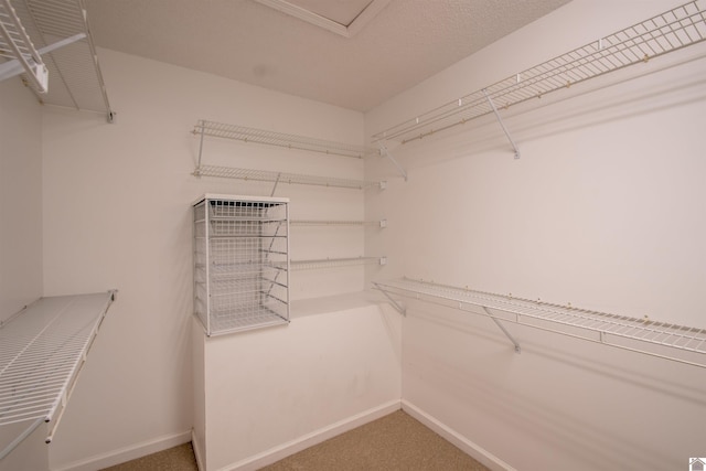 1055 Lakeview Dr, Paducah, KY 42003 - walk in closet featuring carpet flooring