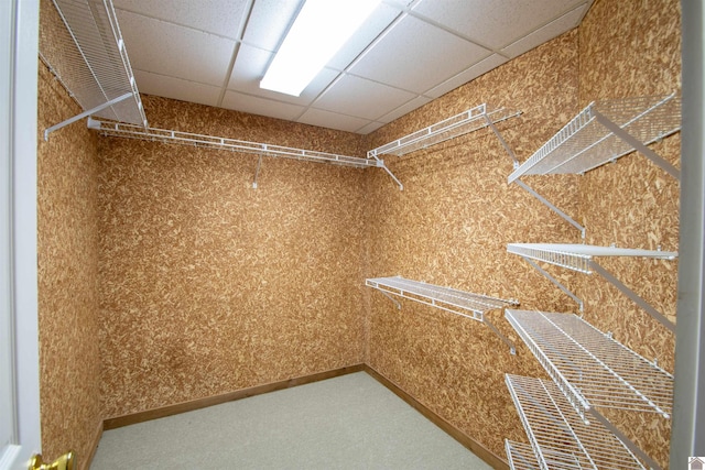 1055 Lakeview Dr, Paducah, KY 42003 - spacious closet featuring carpet floors and a drop ceiling