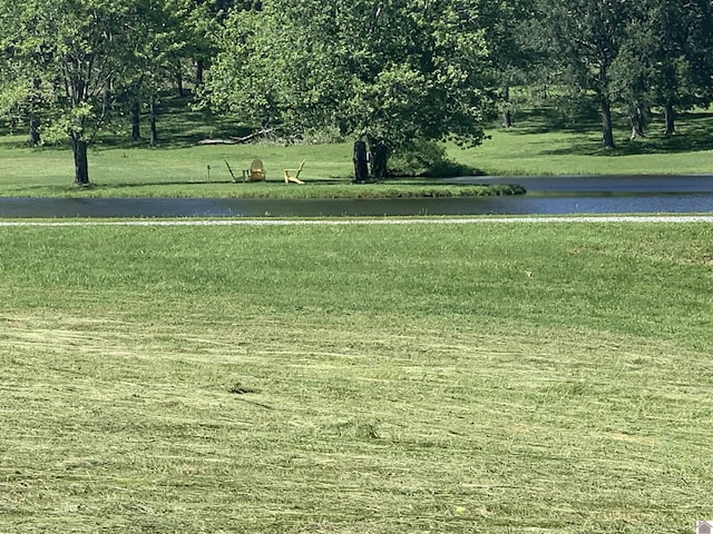 10187 E U S Highway 68, Benton, KY 42025 - view of property's community with a lawn and a view of rural / pastoral area