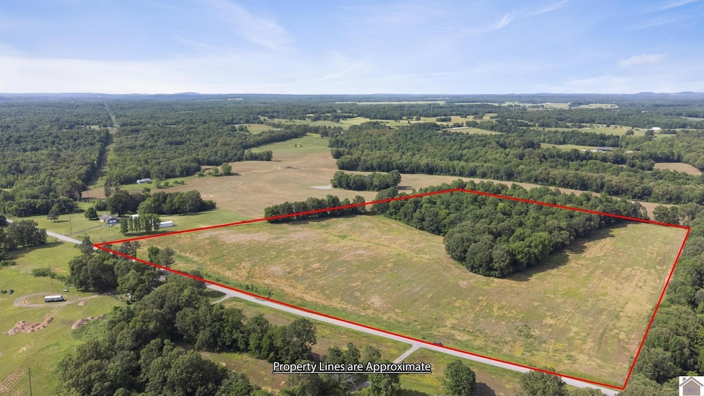 000 State Route 295, Marion, KY 42064
