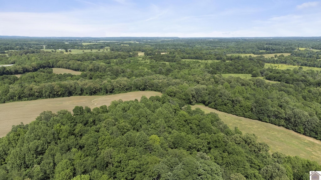 000 State Route 295, Marion, KY 42064