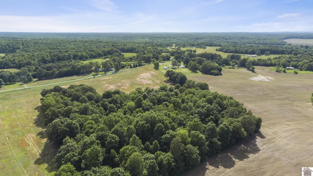 000 State Route 295, Marion, KY 42064