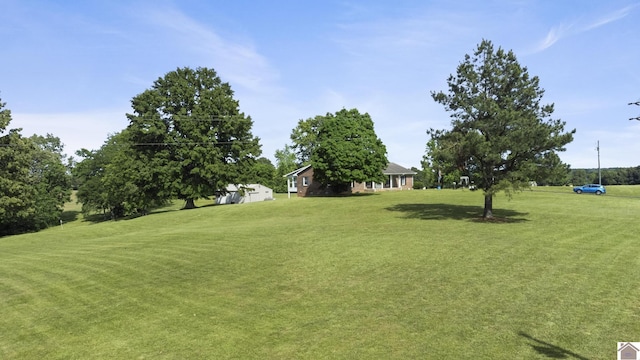 1158 State Route 295, Marion, KY 42064 - view of grassy yard