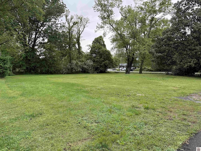 805 Sycamore St, Murray, KY 42071